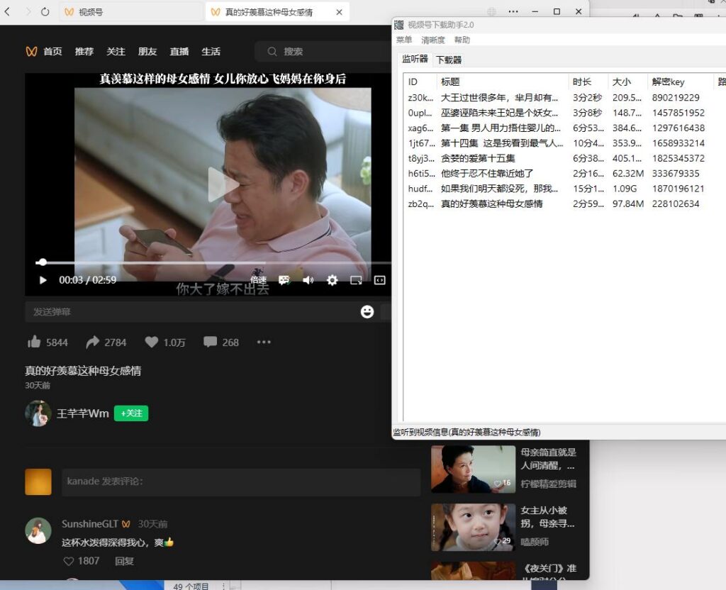图片[1]-微信视频号下载工具 WechatVideoSniffer-天蝎资源网